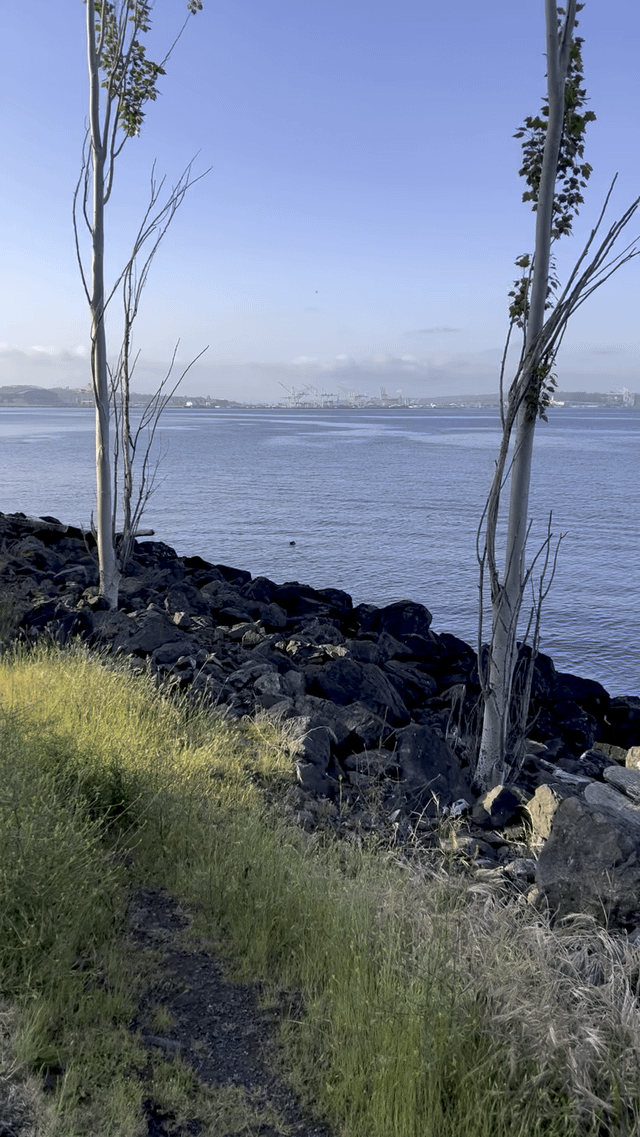 Going to miss my daily walks at the waterfront