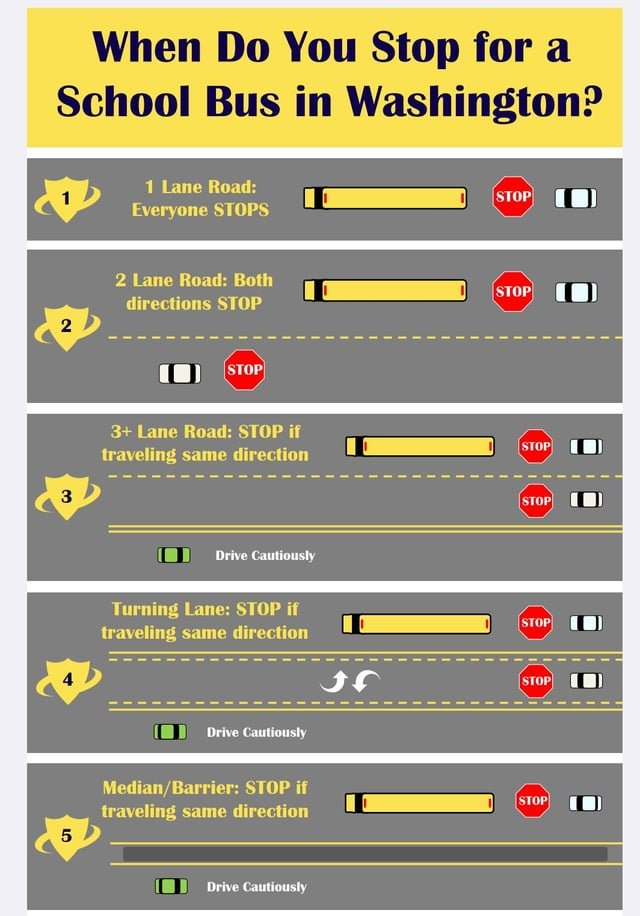 To stop or not to stop at a school bus stop
