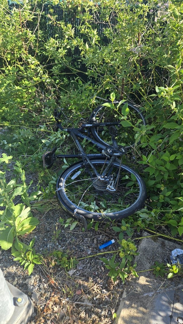 If anyone’s missing a black Trek bike, check the corner of 108th ne and northup way