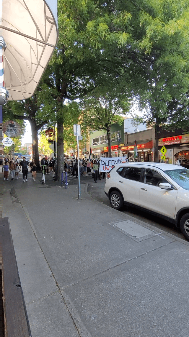 Palestine protest University way