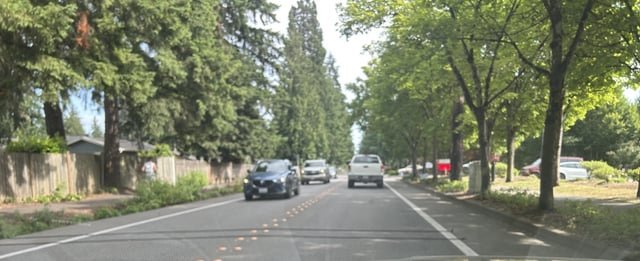 What are these parallel cords laid across the streets all over Bellevue?
