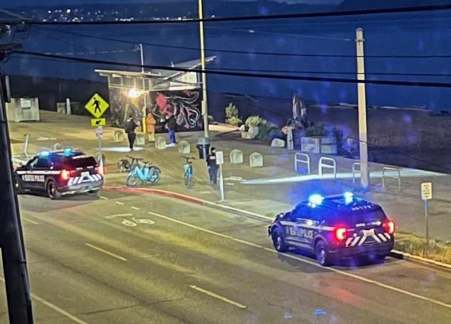 WEST SEATTLE CRIME WATCH: Early-morning gunfire at Alki