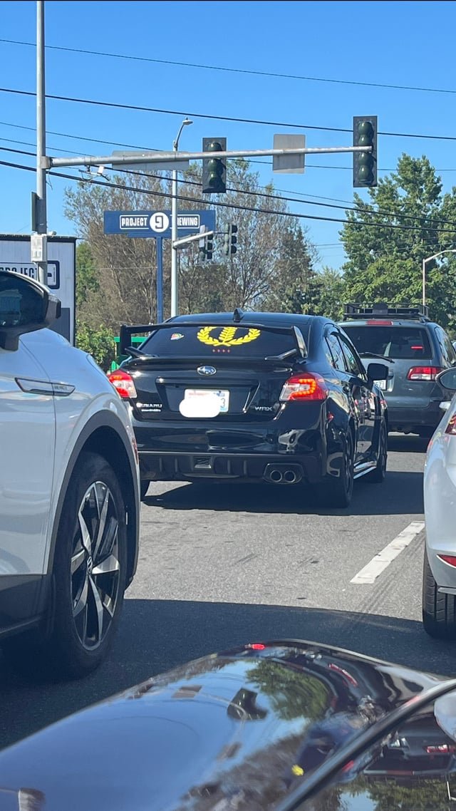 Is this a Proud Boy?