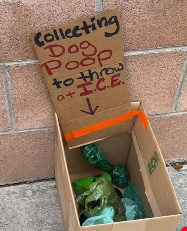 I saw this and thought it might be worth sharing with the Seattle protesters ❤️