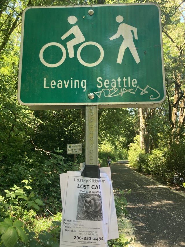 I’m having intrusive thoughts😢