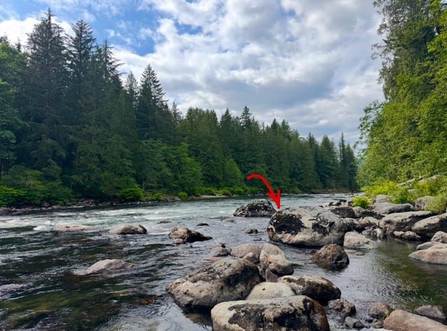 Looking for Seattle local help finding a sentimental ring I lost in Snoqualmie Falls