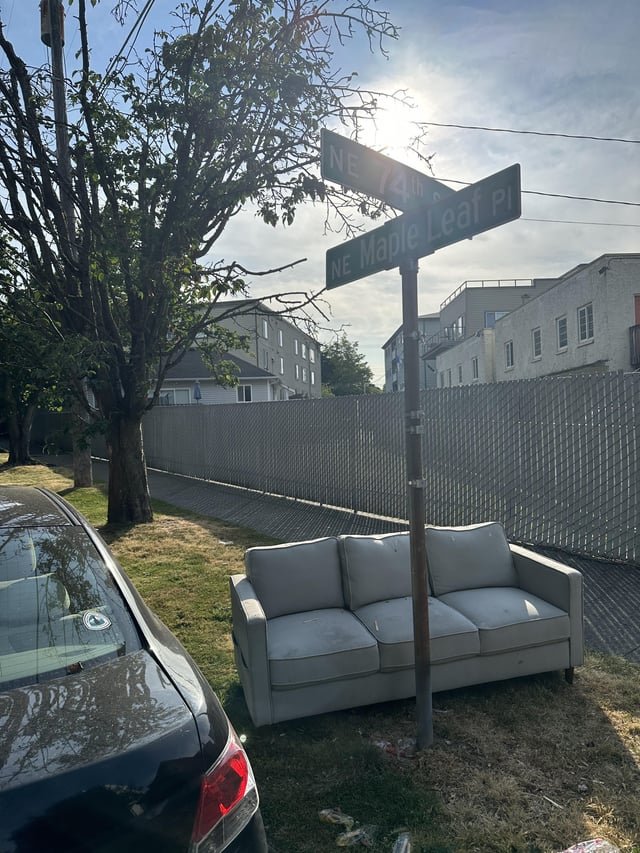 Whoever dumped this, please take it back.