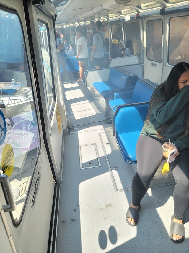 Monorail decided that it had enough today by smoking out the train