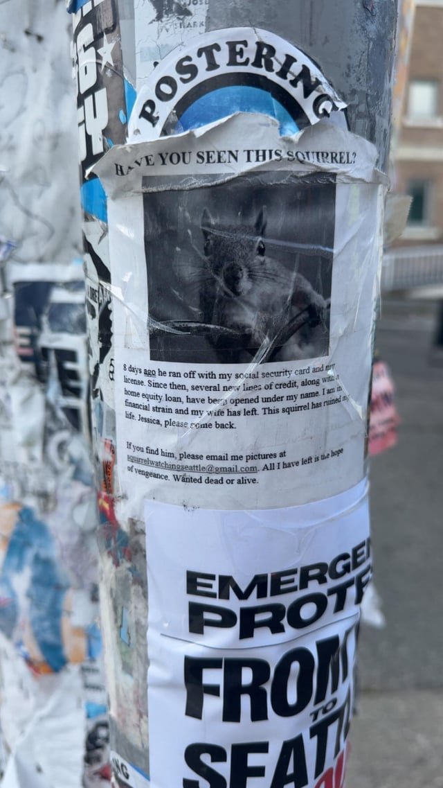 The property crime is out of control