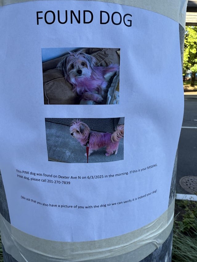 Reposting this IRL post from outside Seattle center 🪧🐶