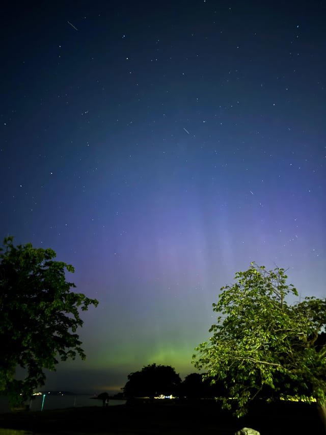 Golden Garden Aurora Borealis