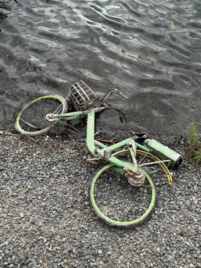 OG Lime bike washed up in SLU