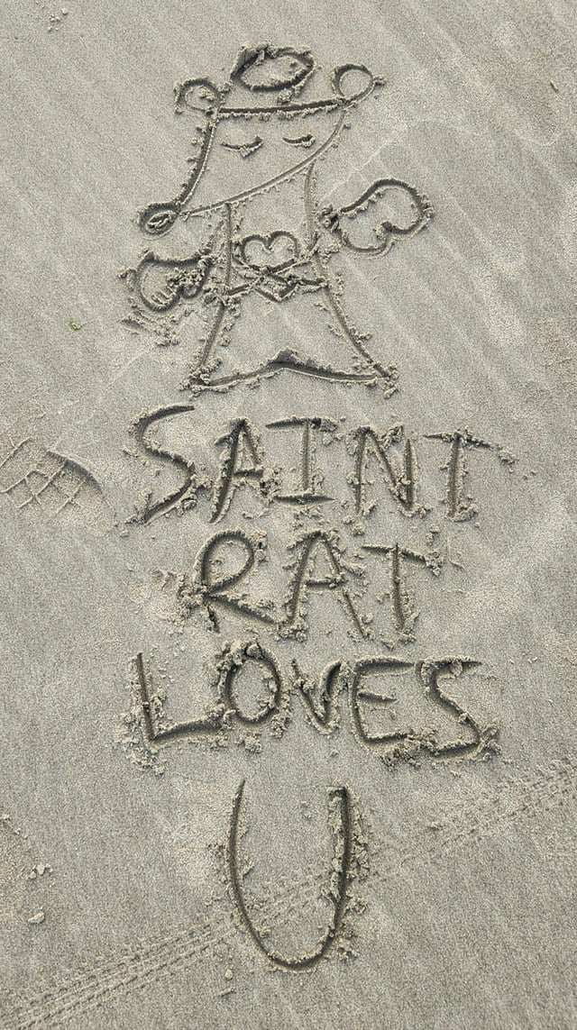 Carried the spirit with me to the coast