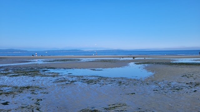 Here’s what’s ahead for the rest of your West Seattle Wednesday!