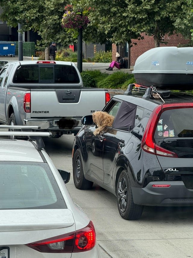Good Boy driving a Kia Soul.