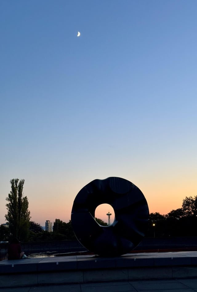 Volunteer Park last night (picture)