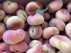 🍑 It’s Happening, Seattle — PEACH SEASON HAS BEGUN! 🍑