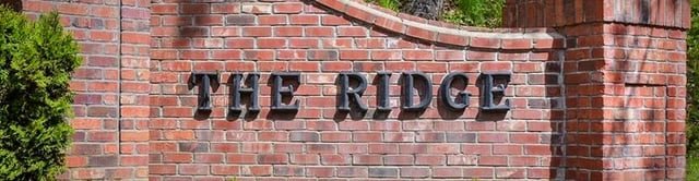 TODAY! – Good Trouble Lives On Gathering / No Kings at The Park at The Ridge this Thursday, July 17 4PM-9PM