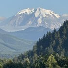Mountain was blooming today