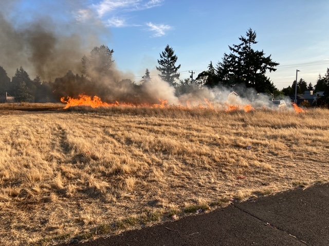 Another Westcrest Park fire
