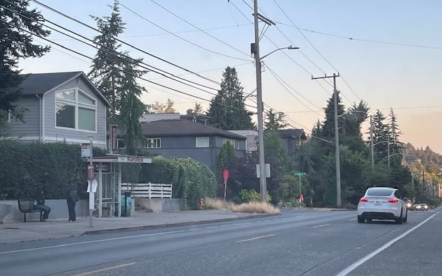 Fauntleroy/Rose crossing design unveiled, with median: Morgan Community Association meeting report #2