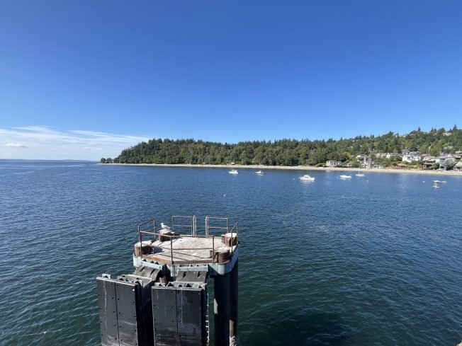 Options for your West Seattle Monday