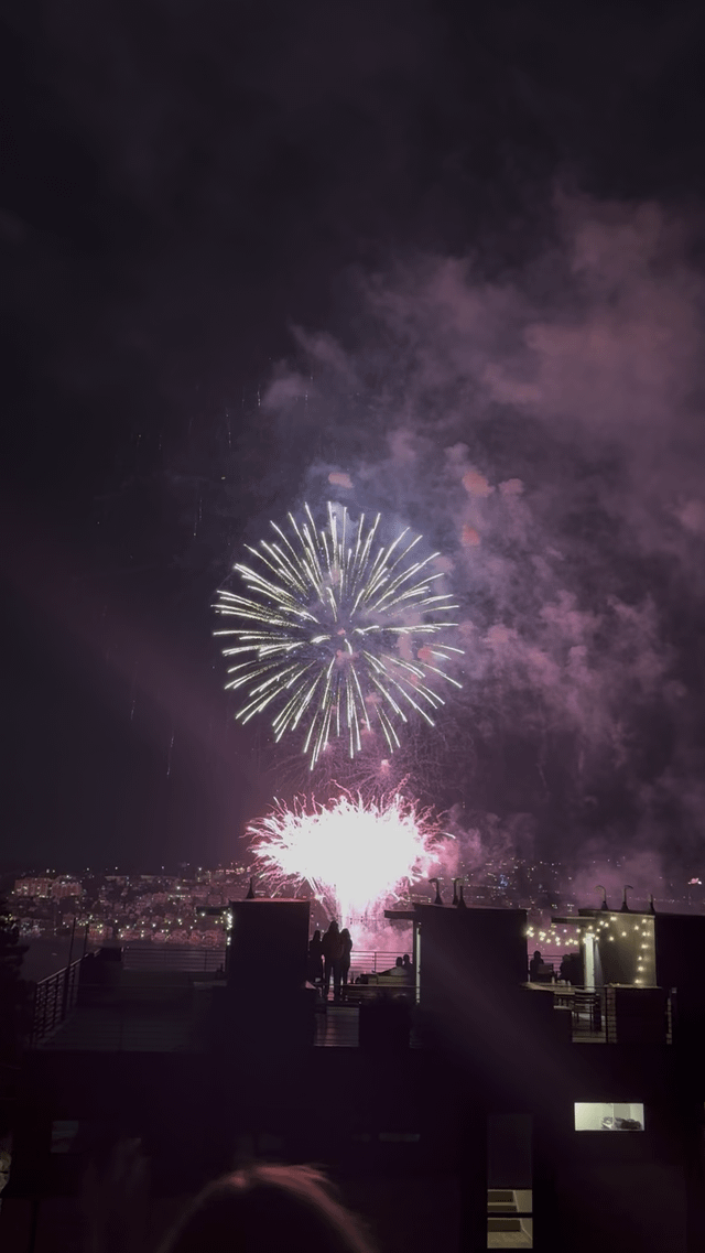 Lake Union Fireworks