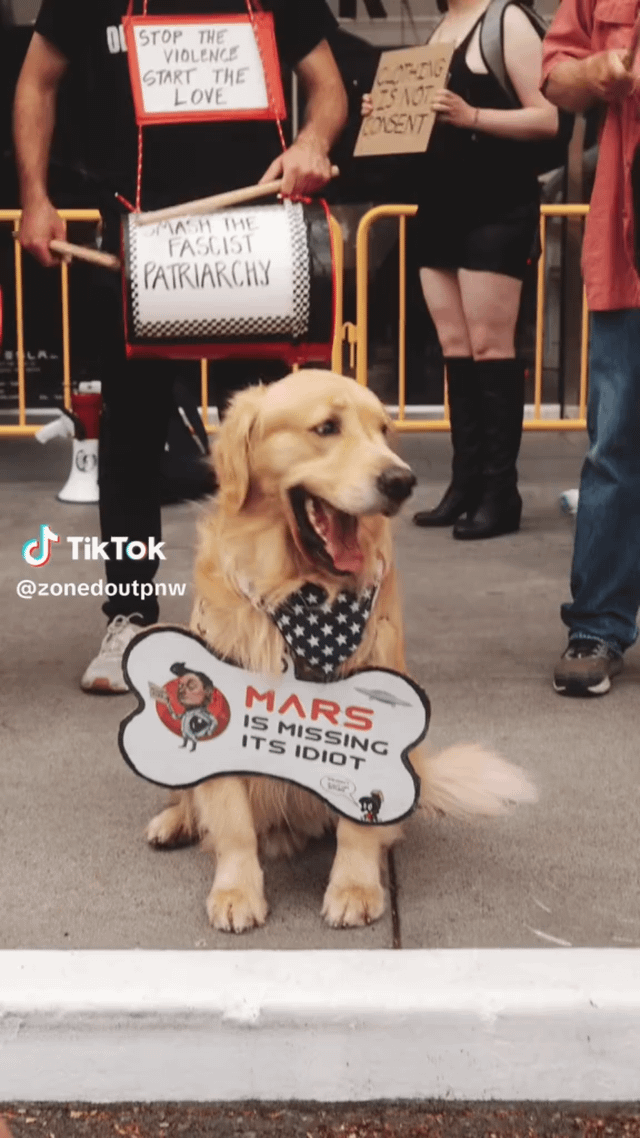 Scenes from Yesterday’s “Under His Eye” Protest at U Village by Defund Musk! Councilmember Rinck was the featured speaker. (Source: @zonedoutpnw on TikTok)