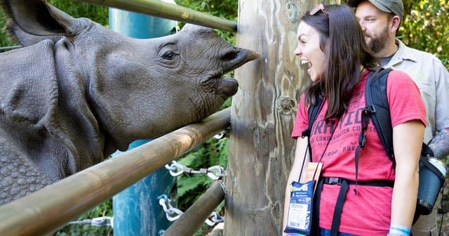 Woodland Park Zoo to hold its first adults-only play day
