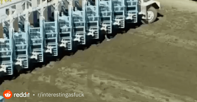 Nobody told me Grandparent racing at Emerald Downs was a thing…