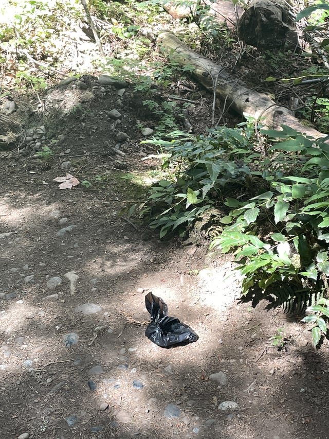If You Are Incapable of Cleaning Up After Your Dog, Please Do Not Bring Them on Hikes.