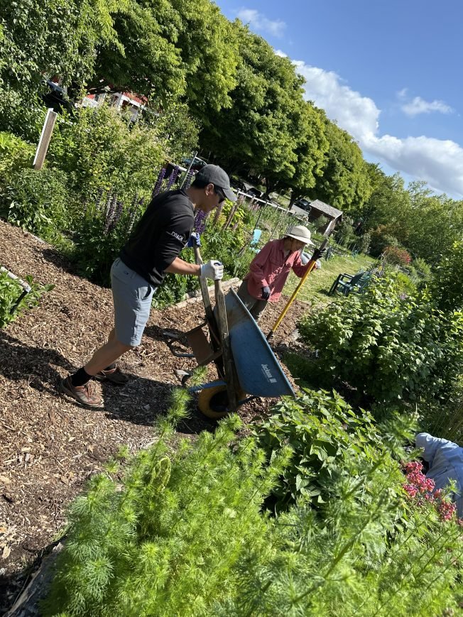 YOU CAN HELP: Sunday volunteer opportunity. With cake!