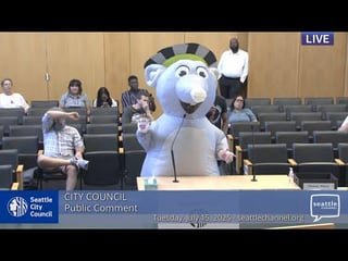 St Rat makes public comment at city council meeting