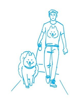 Seen in Seattle: Samoyed Sensation