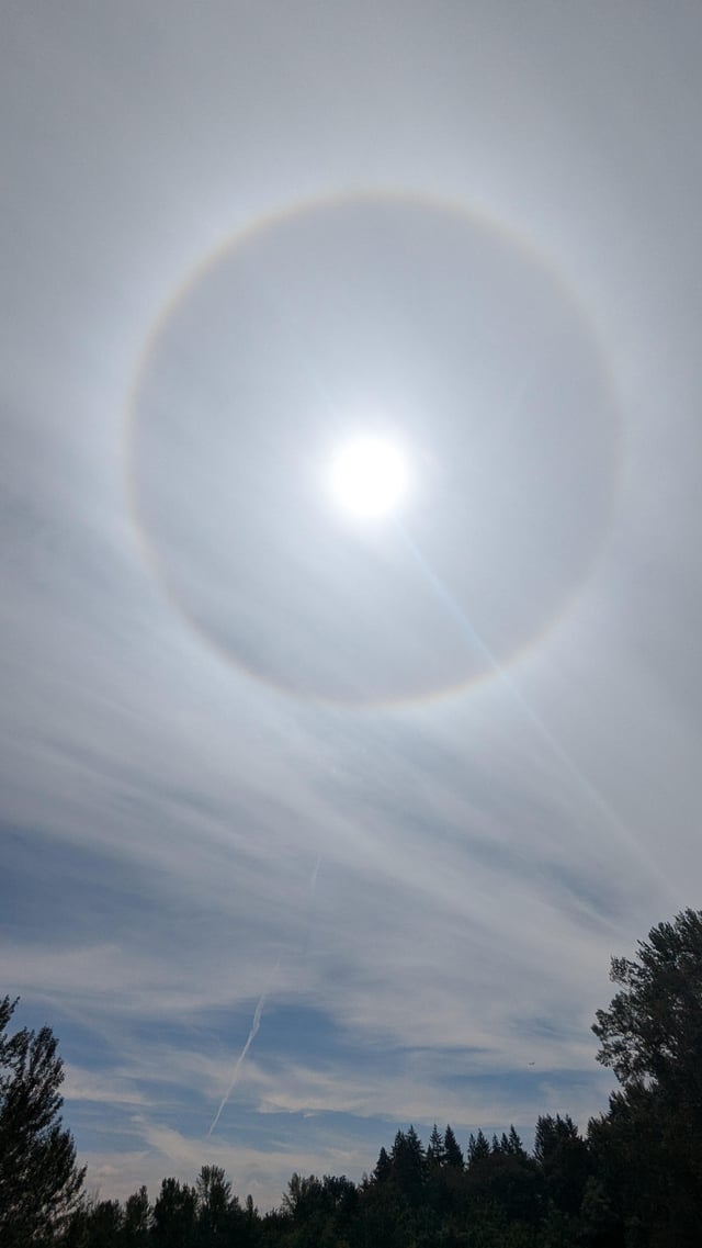 Sun-dogging right now