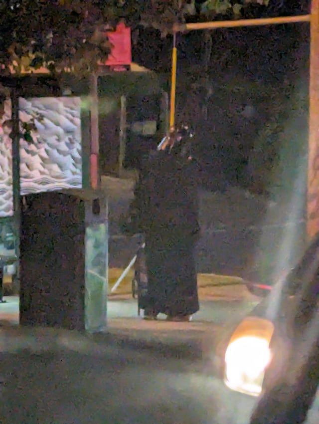 I am never leaving Seattle – Vader uses public transit!