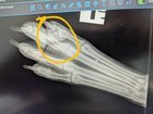 Help my injured puppy trust again – Looking for kind human/gentle dogs to meet us (cap hill)