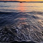 Is it West Seattle or is it Best Seattle?