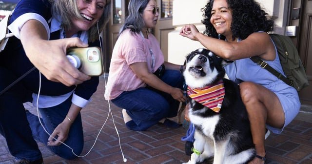 Dogs will be allowed on Seattle’s light rail