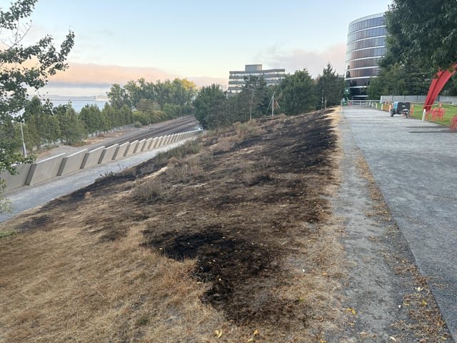 Fire at Olympic Sculpture Park Yesterday