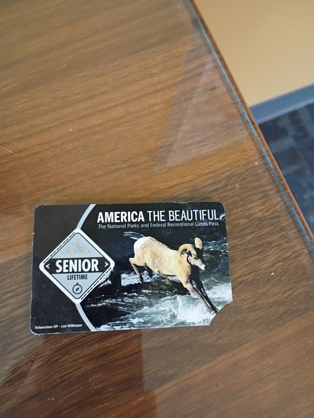 US National Parks Pass found by Little Free Library on W Government Way