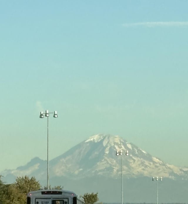 Anyone else notice how bare Rainier has been this year?