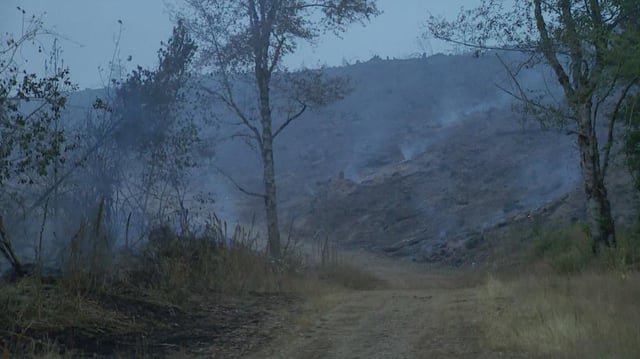 Fire threatening 50 homes near Belfair in Mason County – Level 3 (GO NOW) evacuations are in place for residents along Northeast Toonerville Drive in Belfair