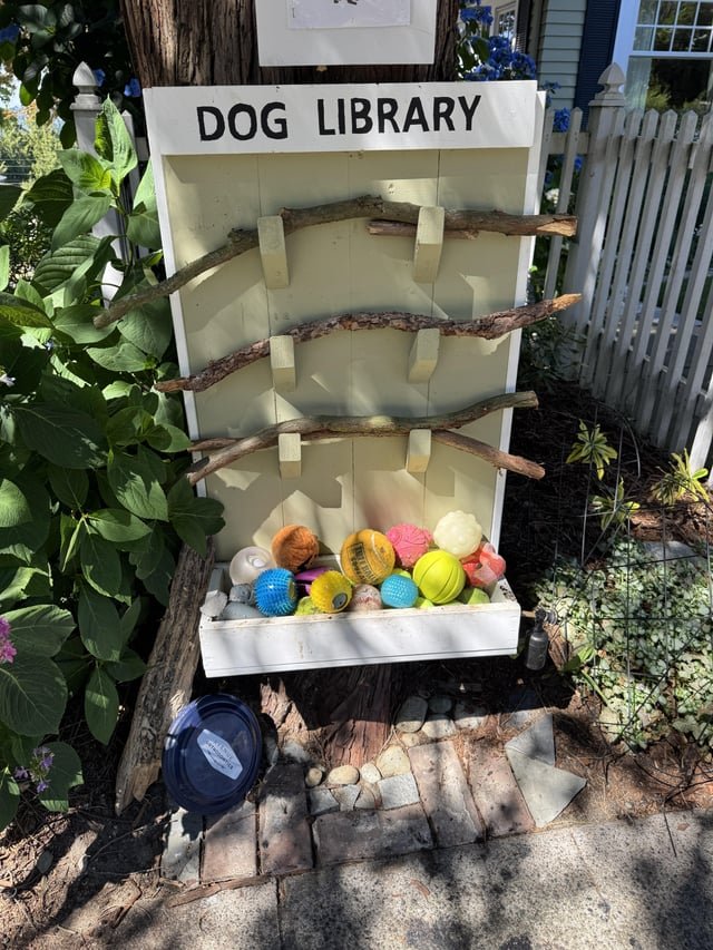 Queen Anne Dog Library