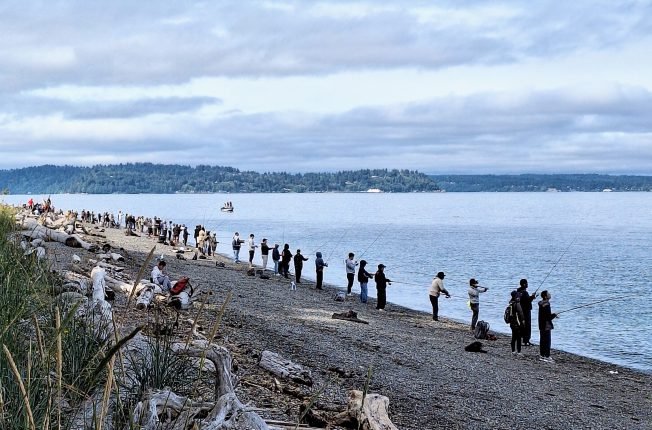 WEST SEATTLE SCENE: Lining up in pursuit of pink salmon