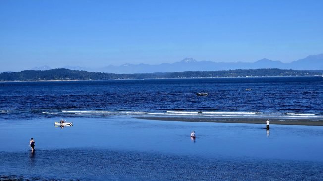 From float-hunting to trivia, here’s the list for your West Seattle Monday