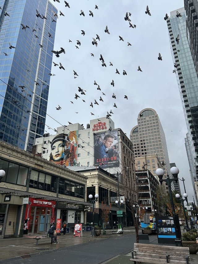 A picture I took on my visit to Seattle! 🏙️ 🐦‍⬛