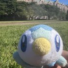 I lost my Piplup plush on the bus or the lightrail!