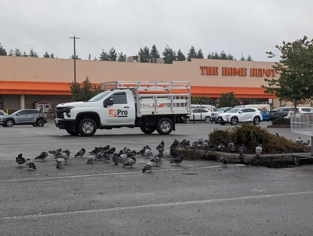 Why Shoreline’s Vote to Erase Parking Mandates Is a Big Deal – The Urbanist