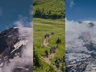 Free Couple/Portrait & Event Photography in the PNW/Seattle Area 📸